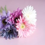ガーベラの花の花言葉やその由来についてもご紹介！